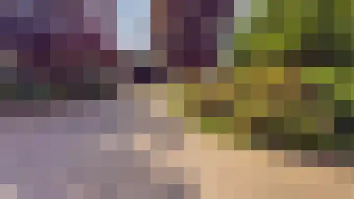 Peeskesweg 6 d Beek thumbnail 6