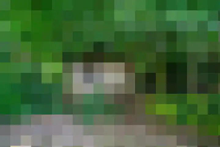Peeskesweg 6 d Beek thumbnail 60