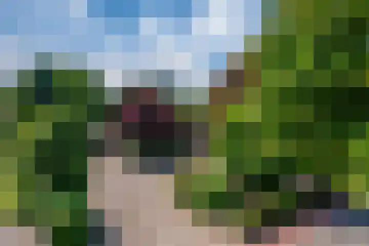Peeskesweg 6 d Beek thumbnail 65