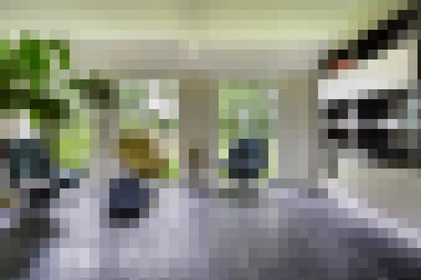 Peeskesweg 9 Beek thumbnail 10