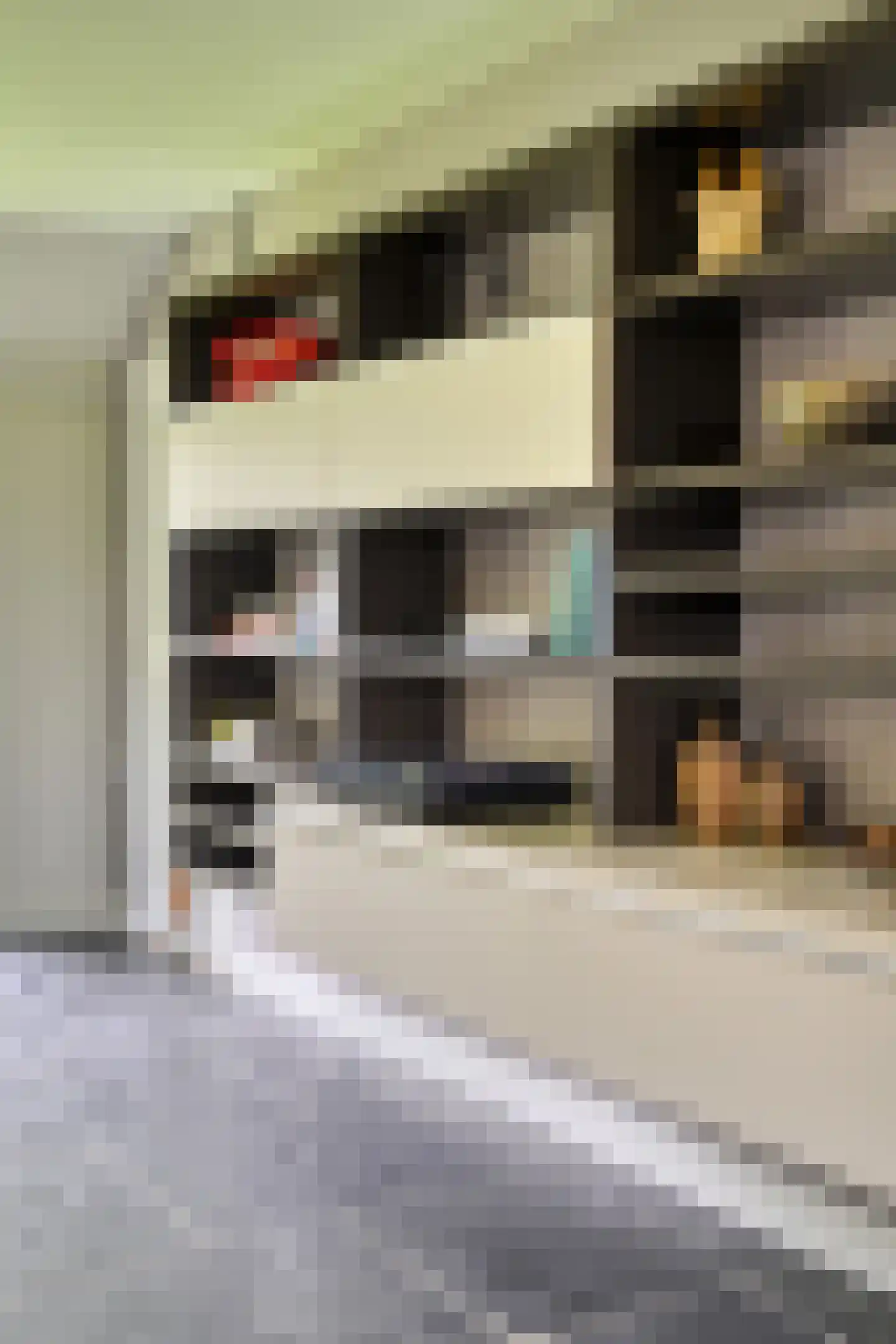 Peeskesweg 9 Beek thumbnail 11