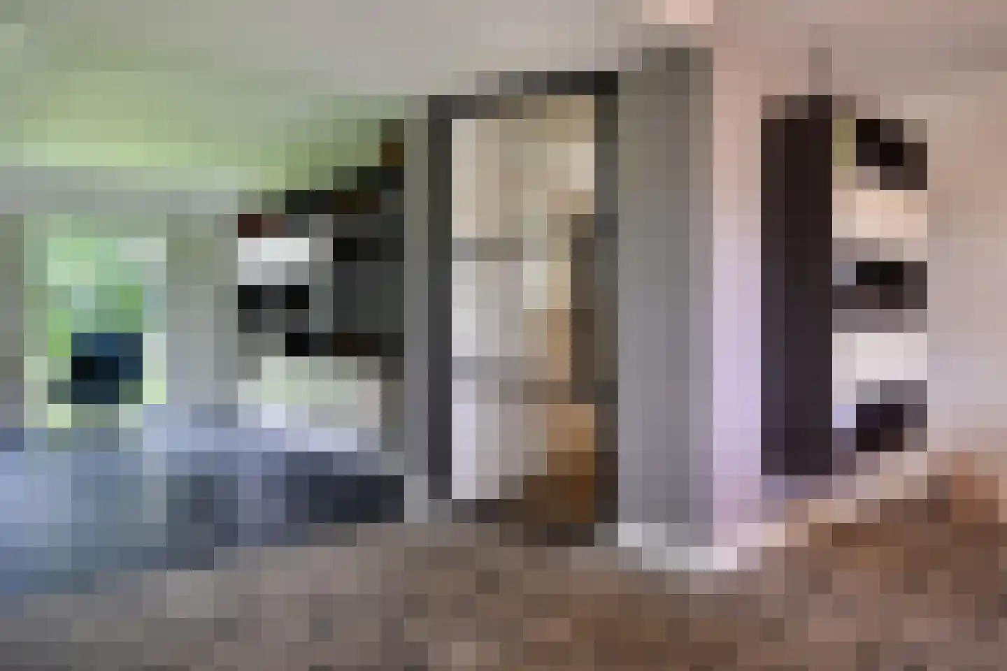 Peeskesweg 9 Beek thumbnail 12