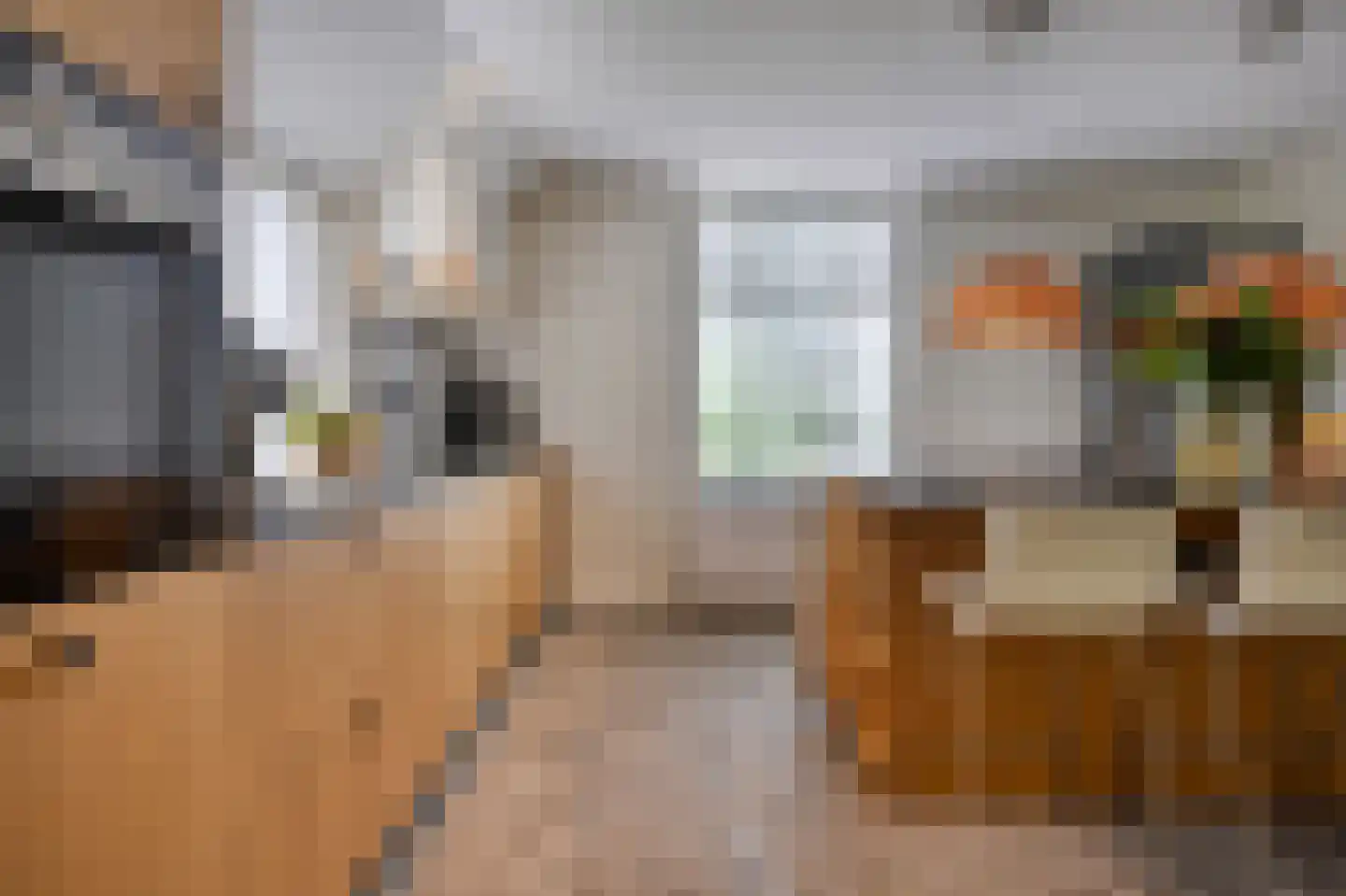 Peeskesweg 9 Beek thumbnail 18