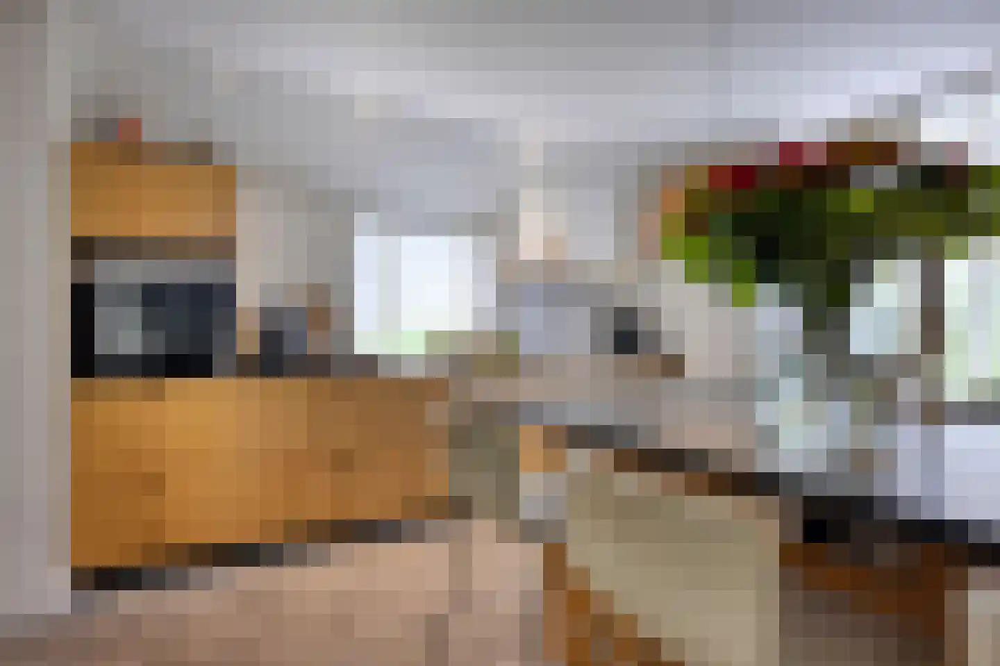 Peeskesweg 9 Beek thumbnail 21