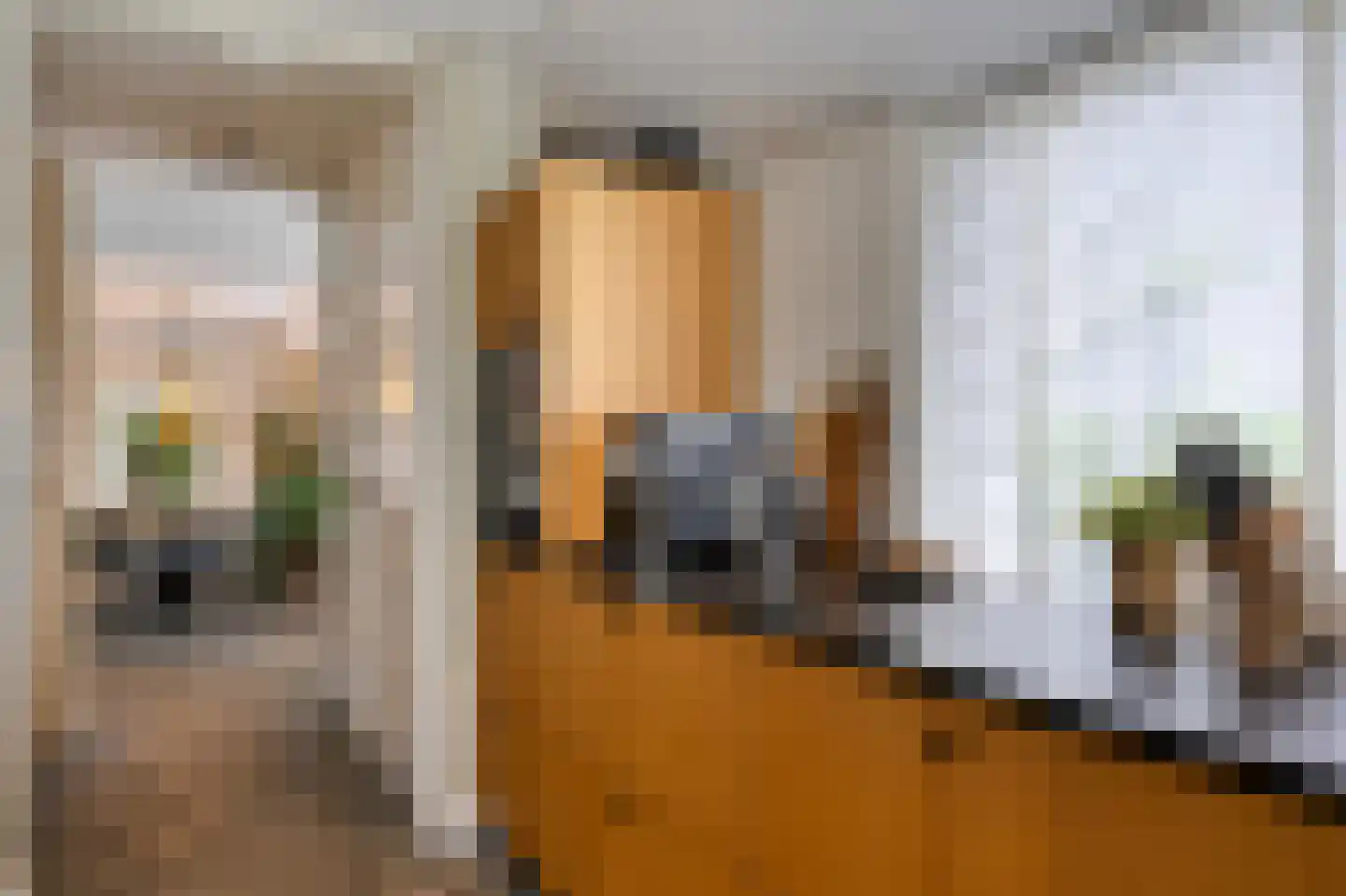 Peeskesweg 9 Beek thumbnail 23