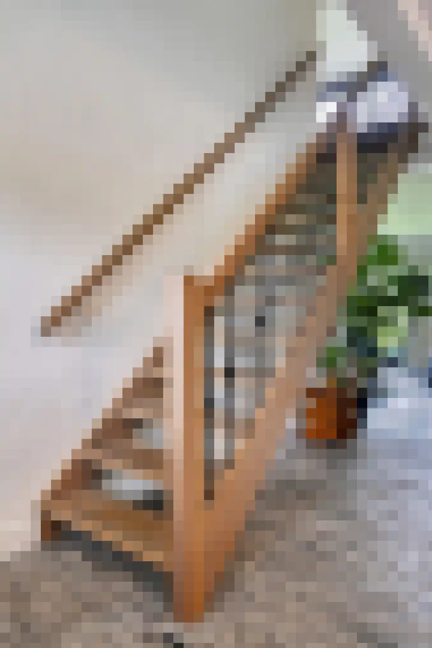 Peeskesweg 9 Beek thumbnail 24