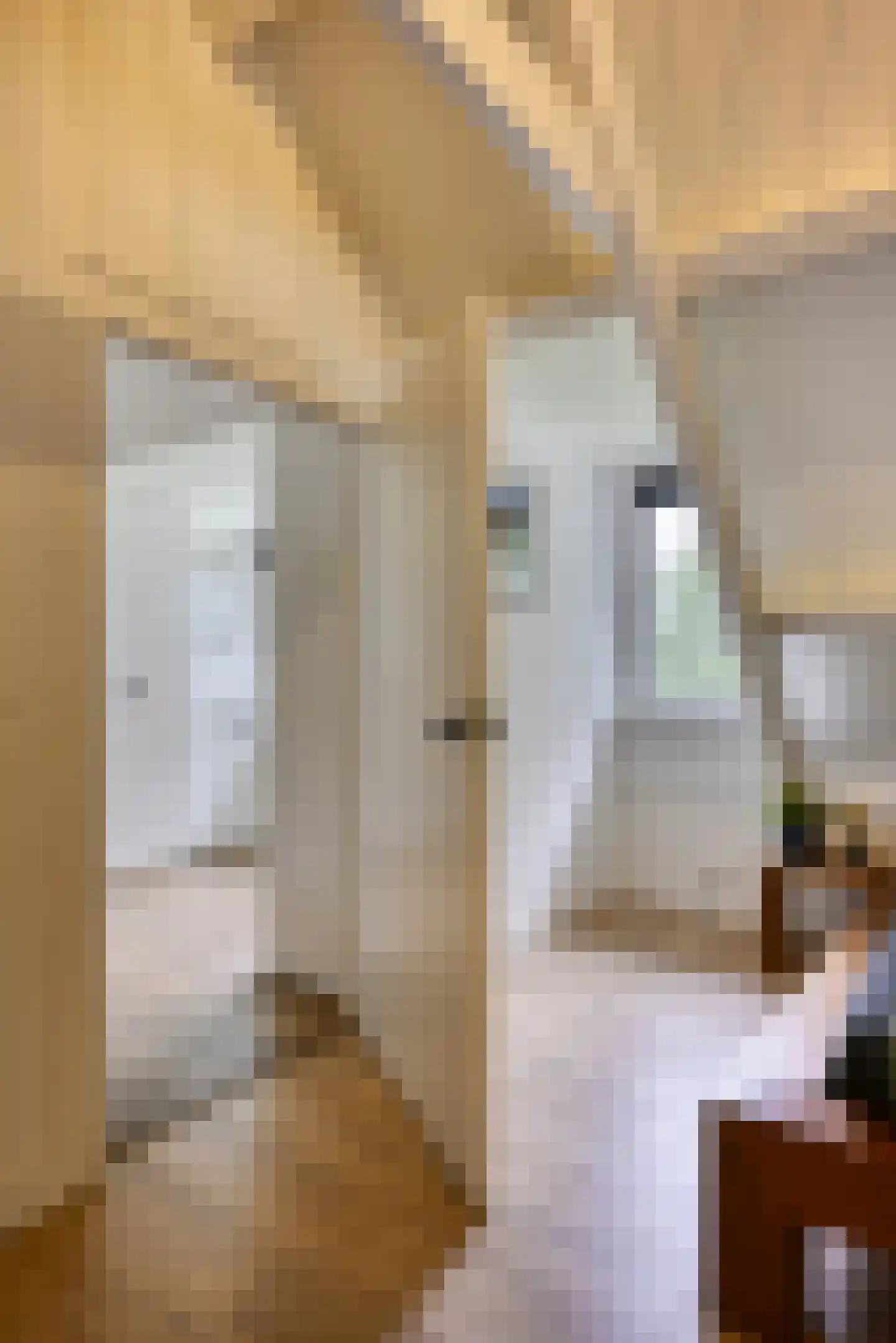 Peeskesweg 9 Beek thumbnail 28