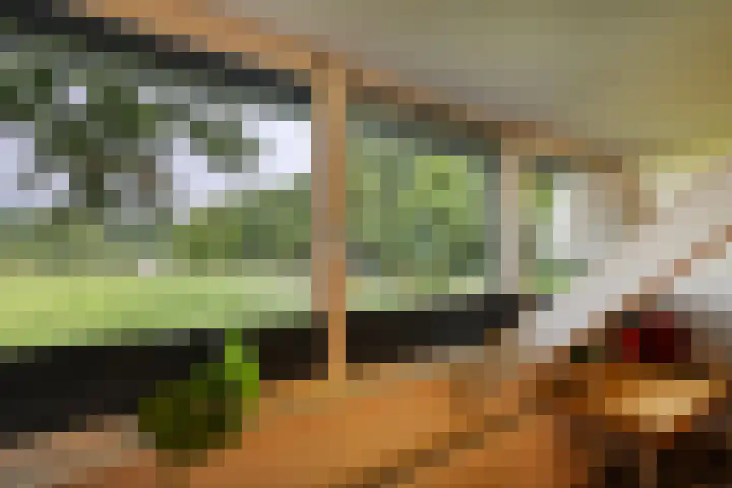 Peeskesweg 9 Beek thumbnail 43