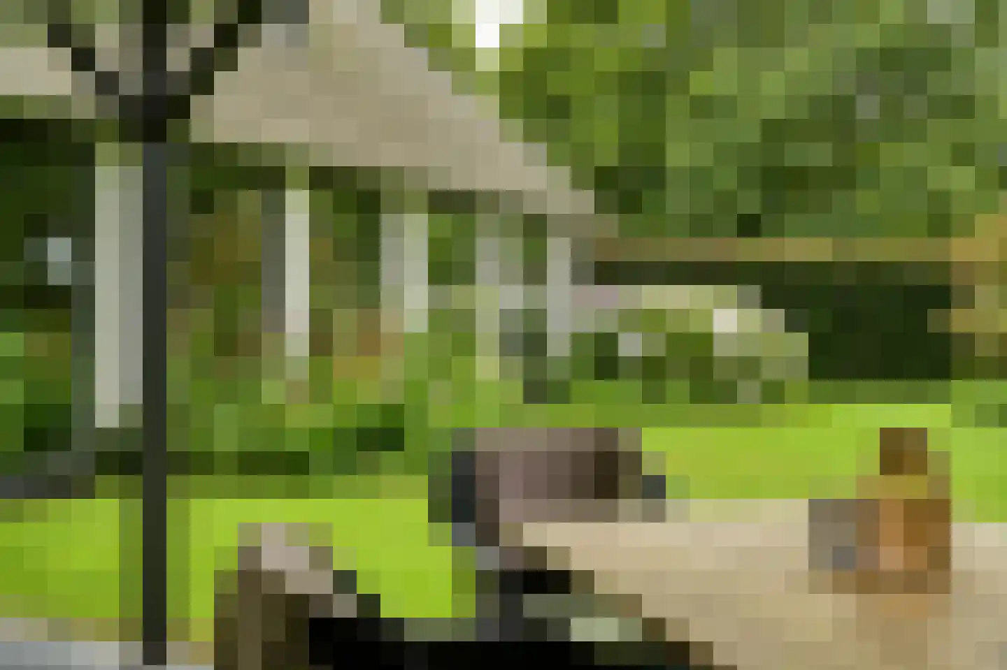 Peeskesweg 9 Beek thumbnail 44
