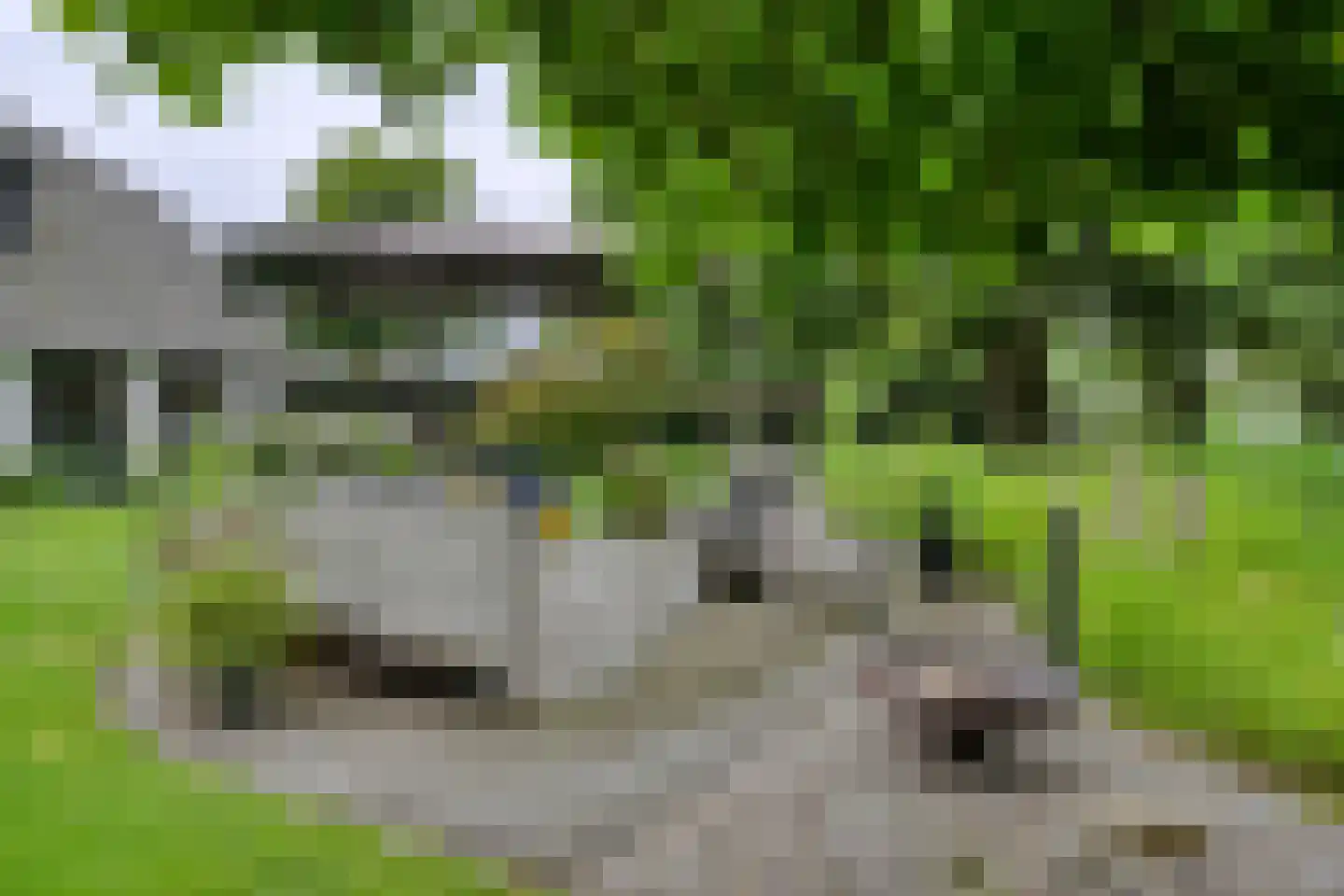Peeskesweg 9 Beek thumbnail 46