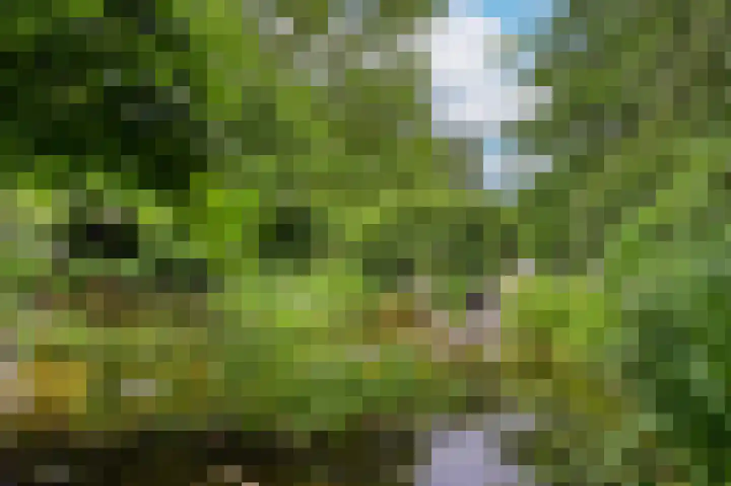 Peeskesweg 9 Beek thumbnail 48