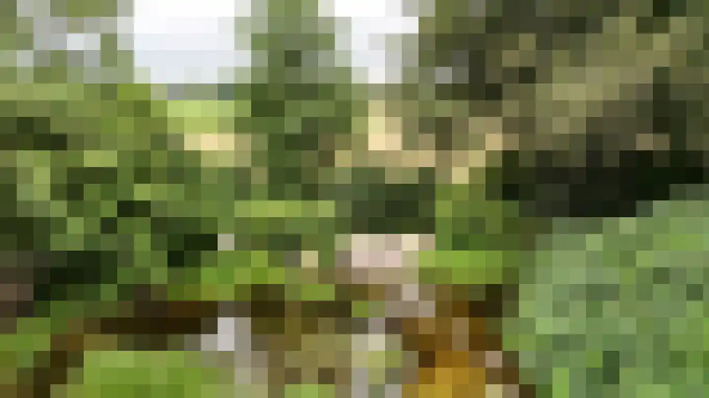 Peeskesweg 9 Beek thumbnail 51