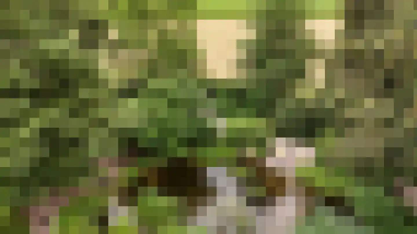 Peeskesweg 9 Beek thumbnail 52
