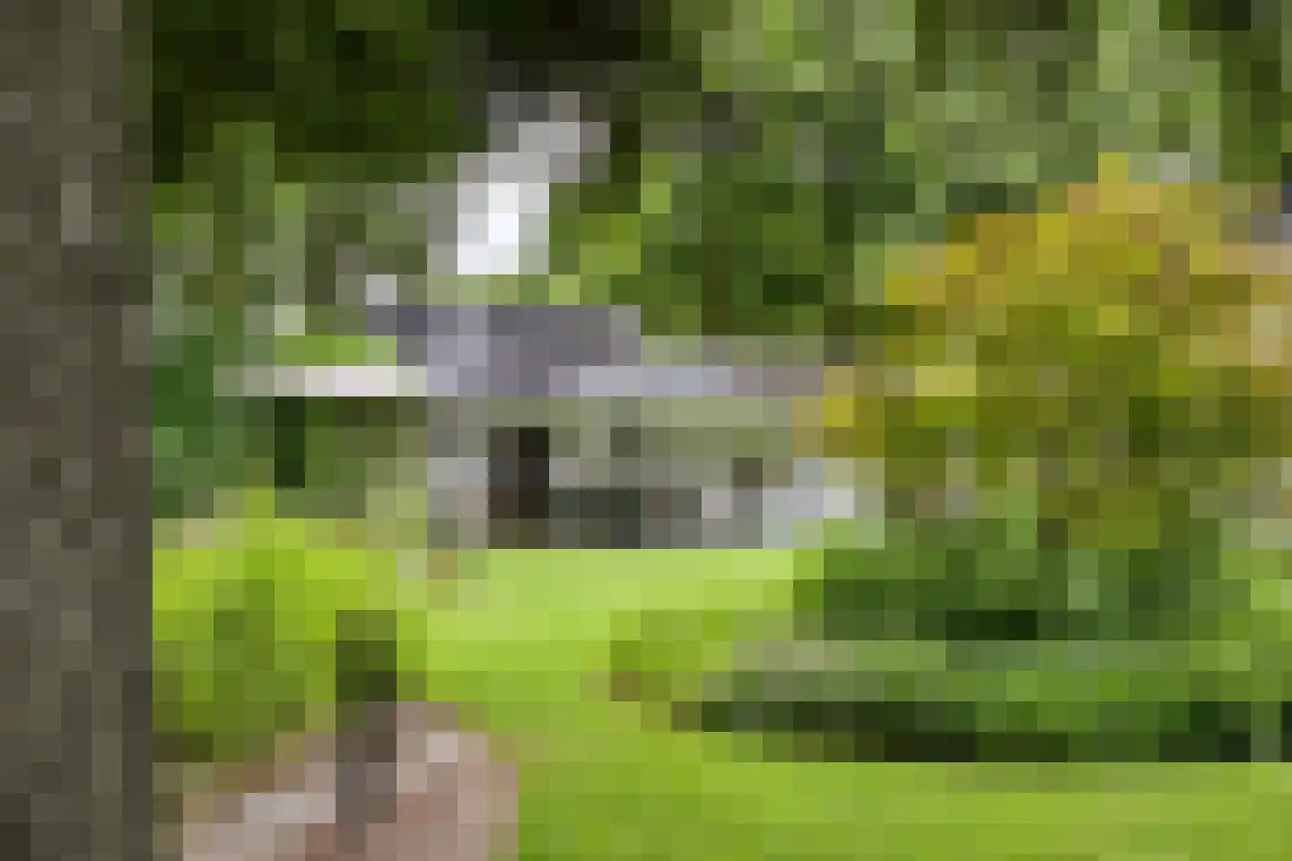 Peeskesweg 9 Beek thumbnail 53