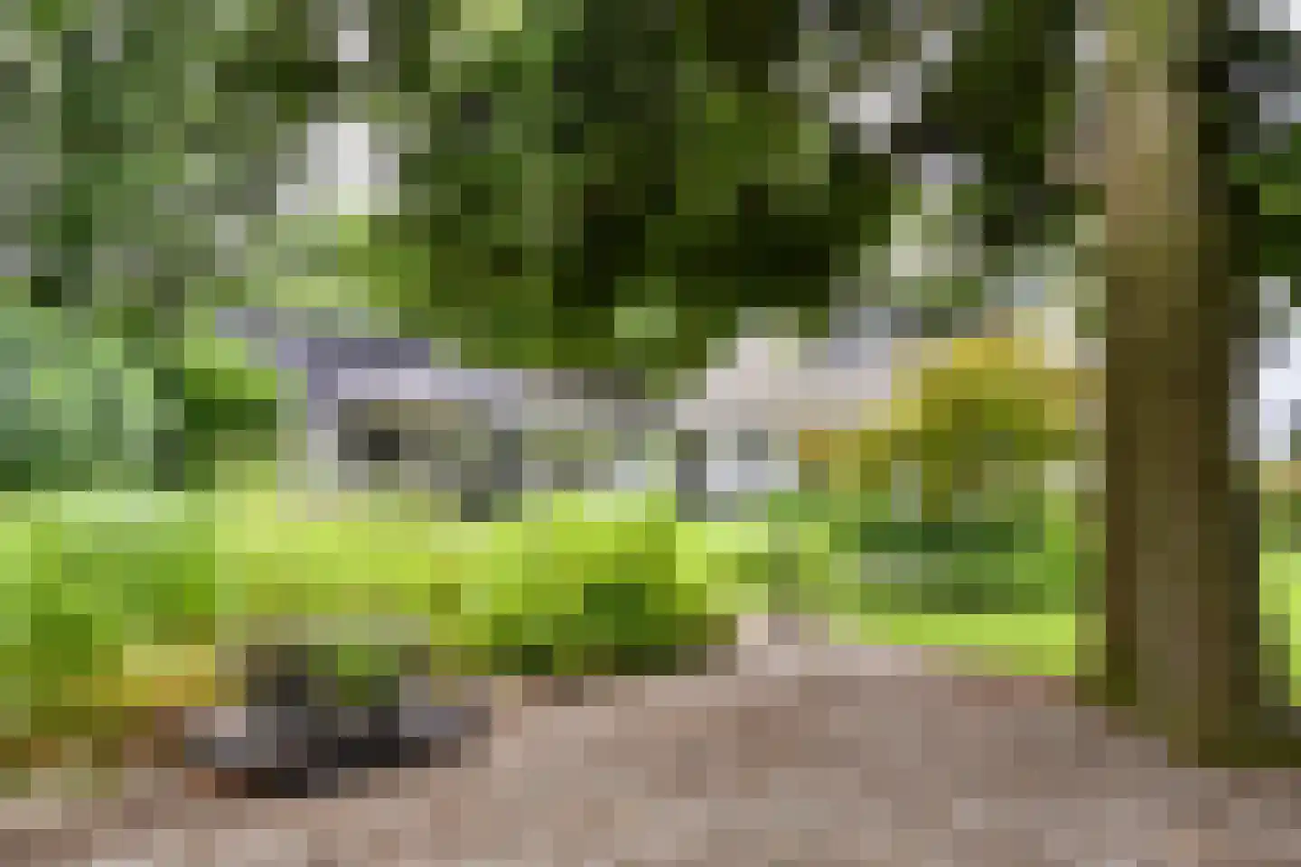 Peeskesweg 9 Beek thumbnail 54