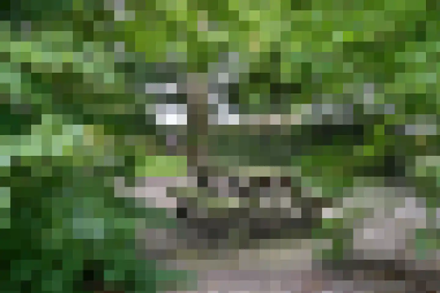 Peeskesweg 9 Beek thumbnail 55