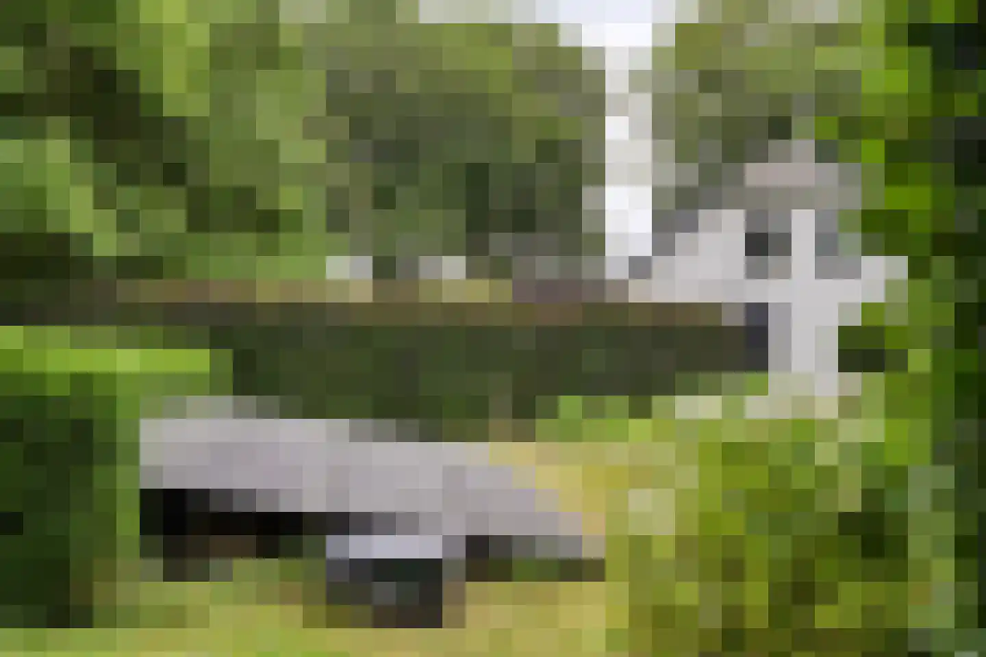 Peeskesweg 9 Beek thumbnail 57