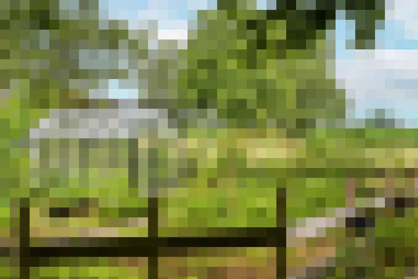 Peeskesweg 9 Beek thumbnail 58