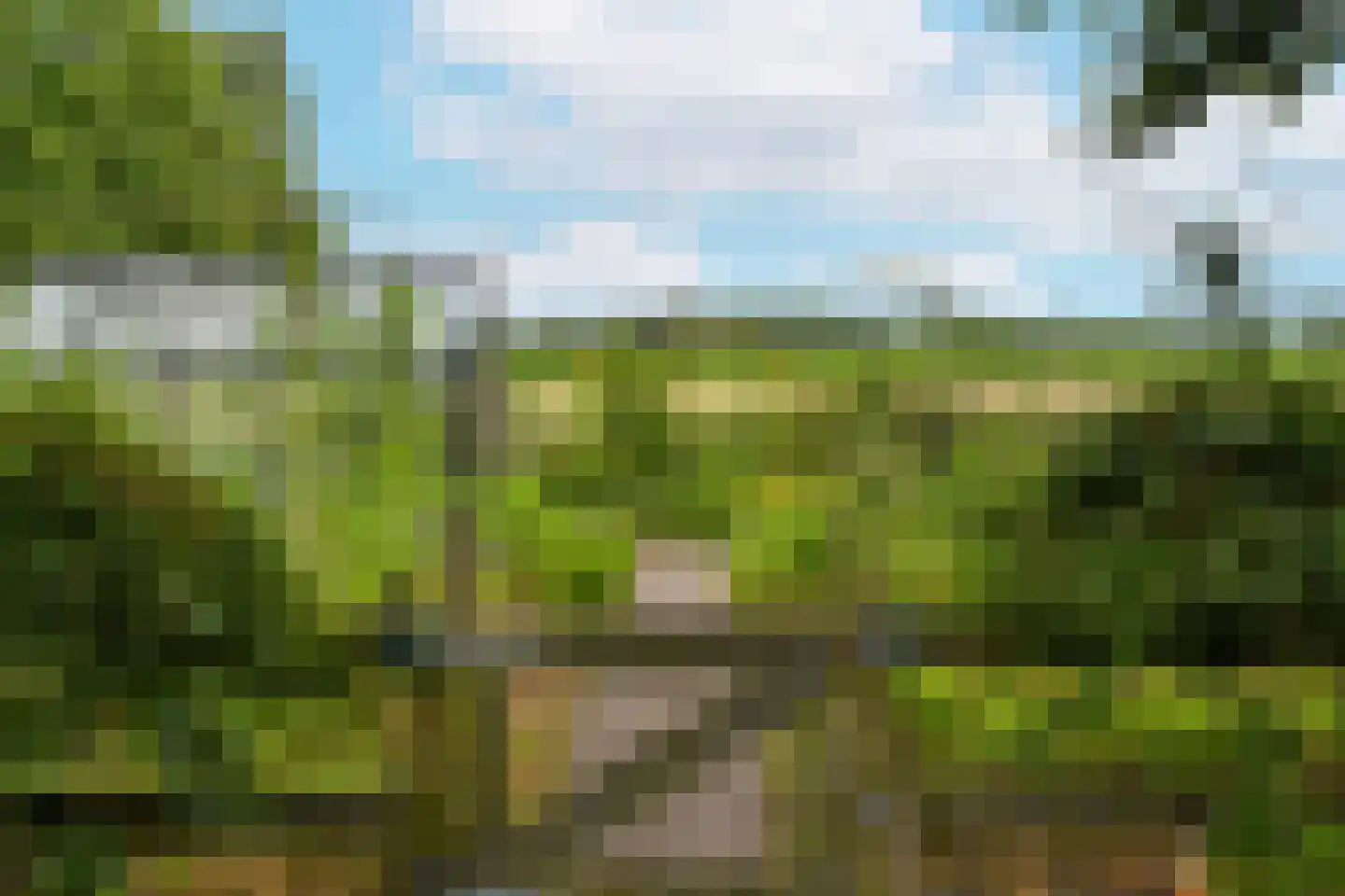 Peeskesweg 9 Beek thumbnail 59