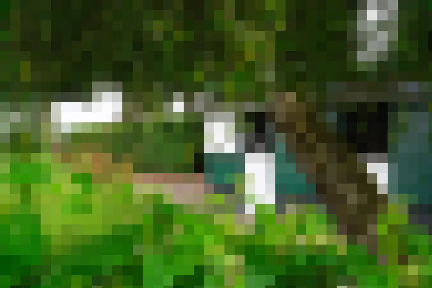 Peeskesweg 9 Beek thumbnail 60