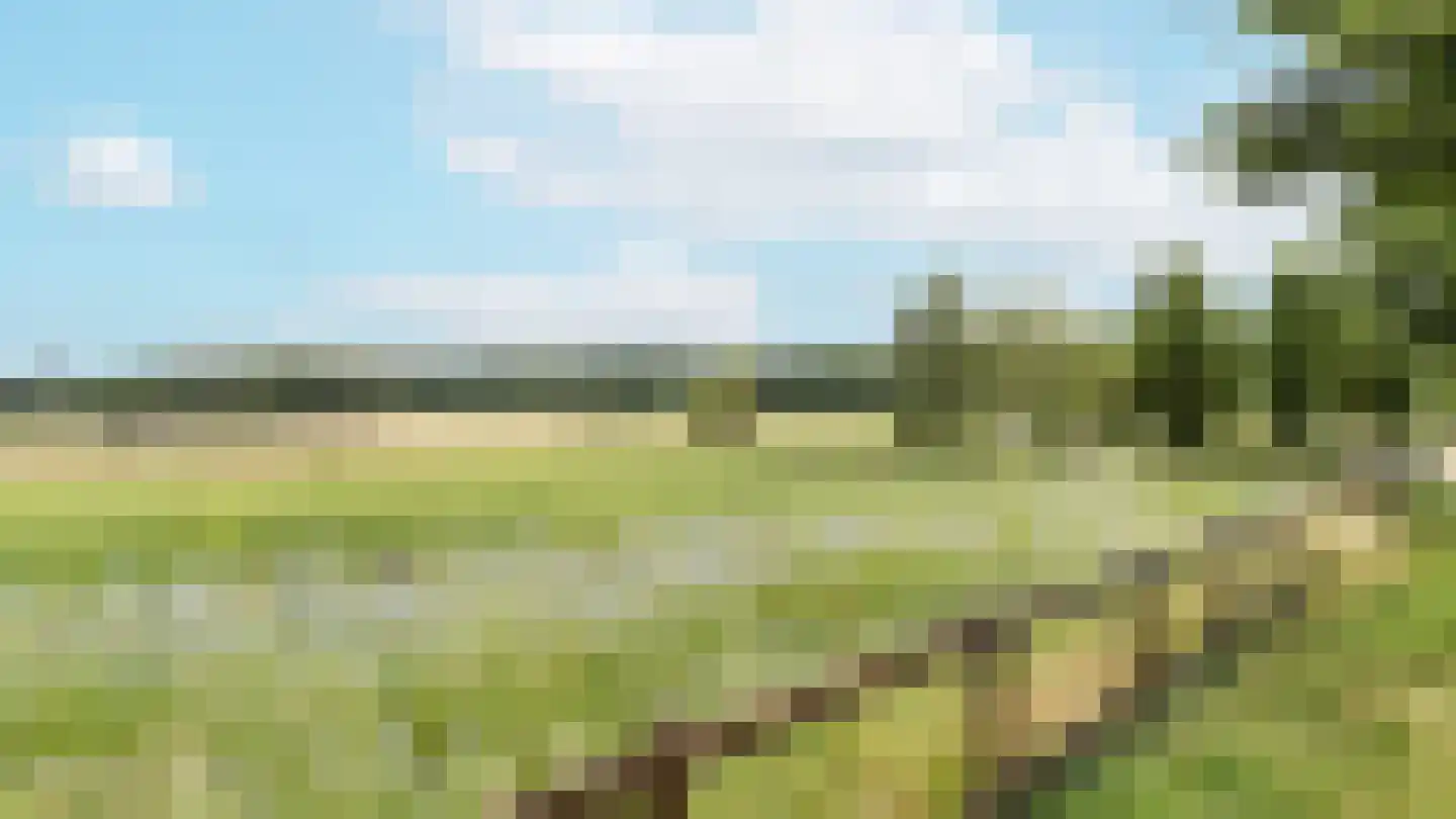 Peeskesweg 9 Beek thumbnail 63