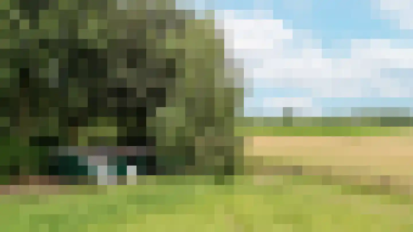 Peeskesweg 9 Beek thumbnail 64