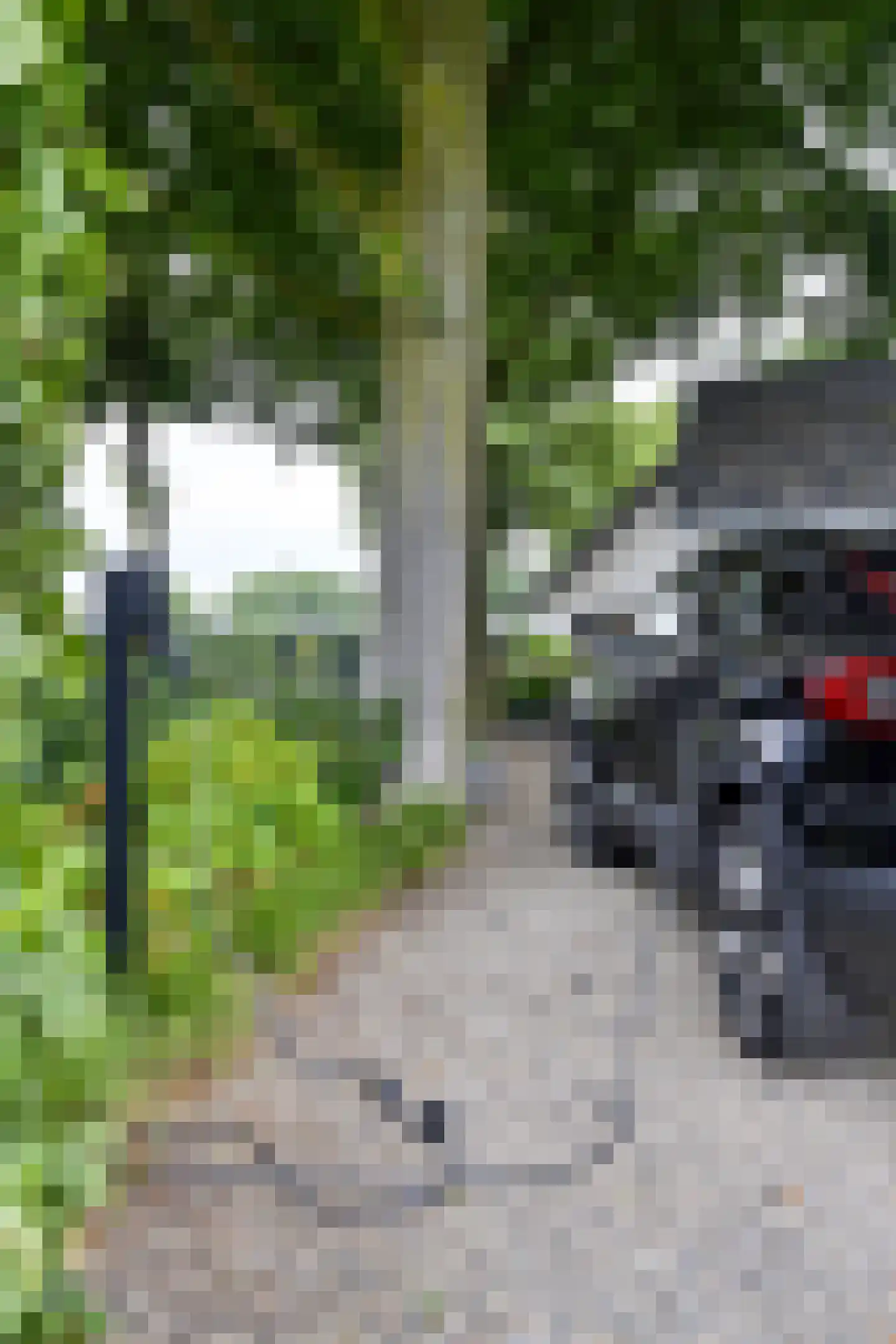 Peeskesweg 9 Beek thumbnail 66