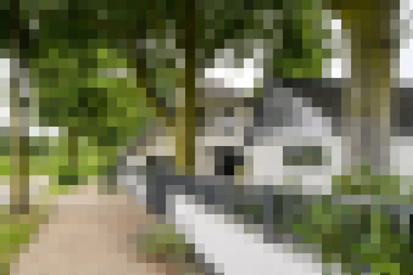 Peeskesweg 9 Beek thumbnail 68