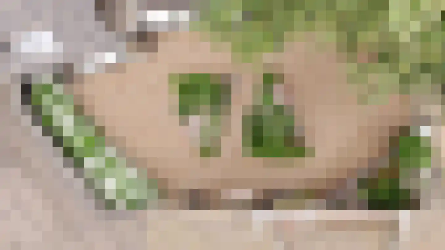 Peeskesweg 9 Beek thumbnail 71