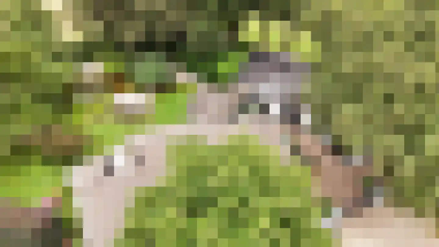 Peeskesweg 9 Beek thumbnail 72
