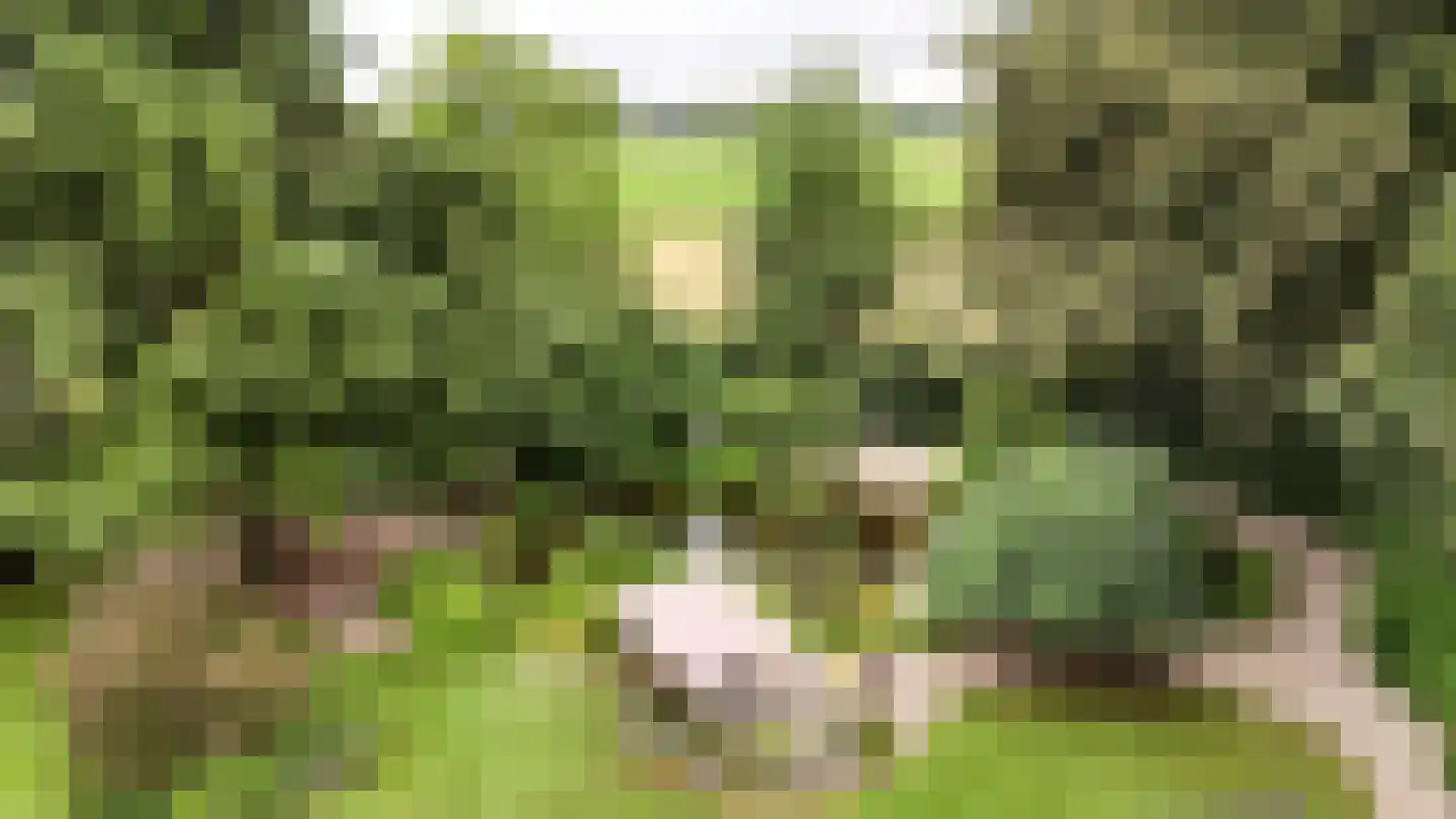 Peeskesweg 9 Beek thumbnail 73
