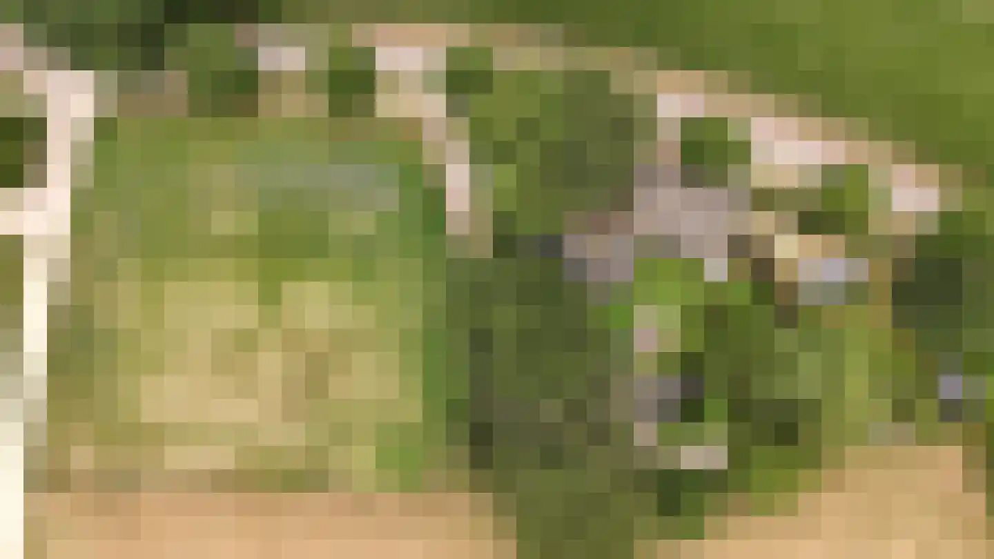 Peeskesweg 9 Beek thumbnail 76