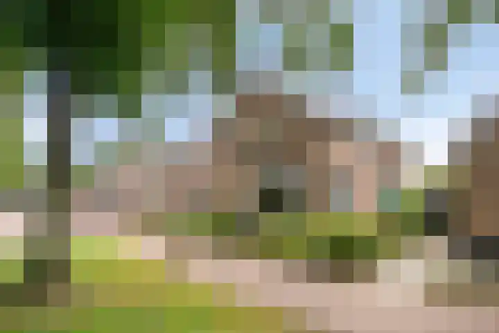 Peesterstraat 4 Norg thumbnail 11