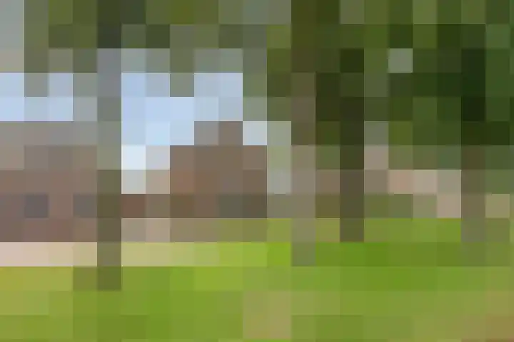 Peesterstraat 4 Norg thumbnail 12