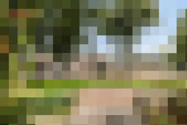 Peesterstraat 4 Norg thumbnail 13