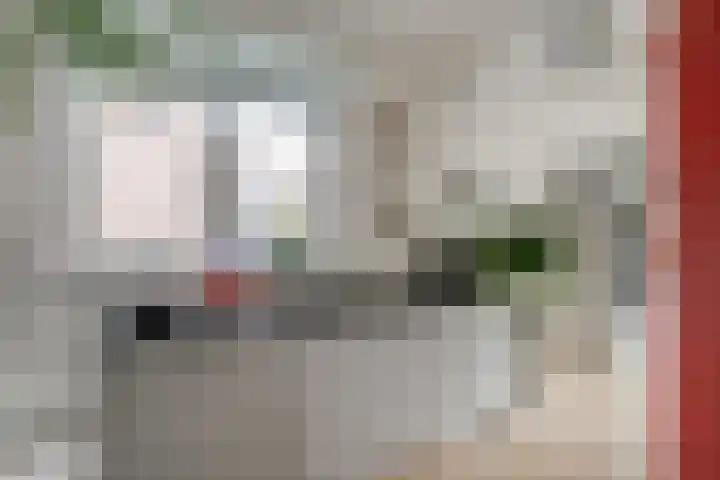 Peesterstraat 4 Norg thumbnail 19