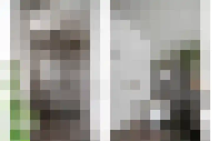 Peesterstraat 4 Norg thumbnail 28