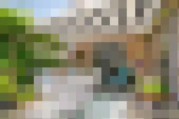 Peesterstraat 4 Norg thumbnail 29