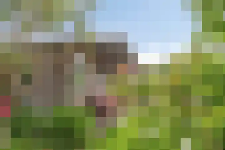 Peesterstraat 4 Norg thumbnail 33