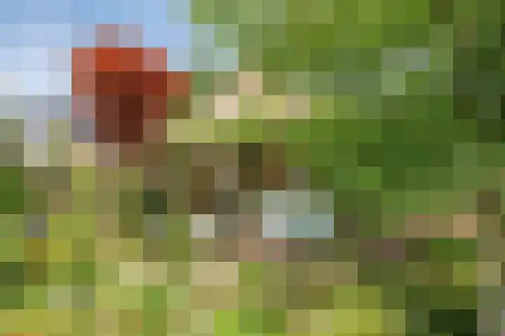 Peesterstraat 4 Norg thumbnail 35