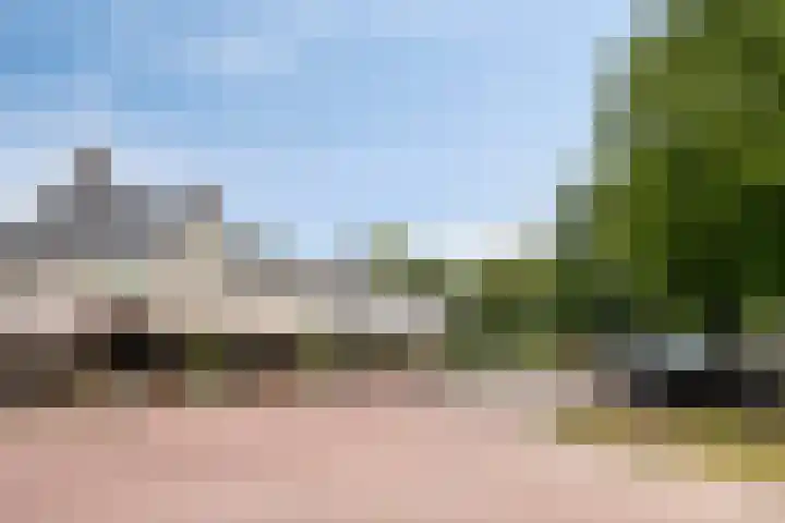 Peesterstraat 4 Norg thumbnail 37