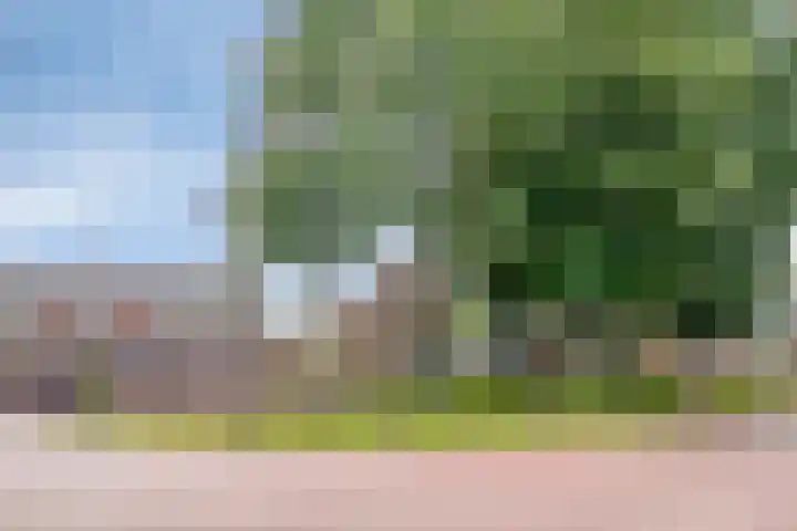 Peesterstraat 4 Norg thumbnail 38