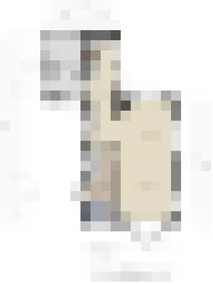 Peesterstraat 4 Norg thumbnail 41