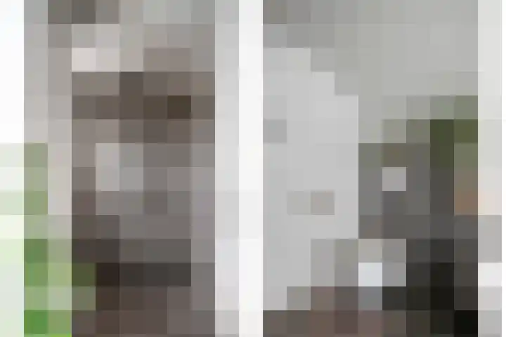 Peesterstraat 4 Norg thumbnail 6