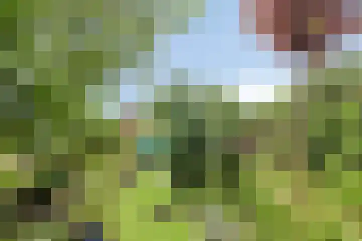 Peesterstraat 4 Norg thumbnail 7