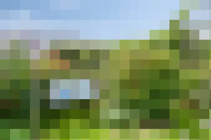 Peesterstraat 4 Norg thumbnail 8