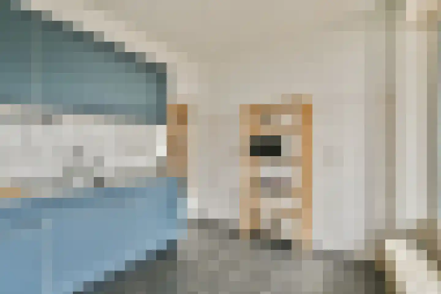 Peetersdreef 150 Utrecht thumbnail 10