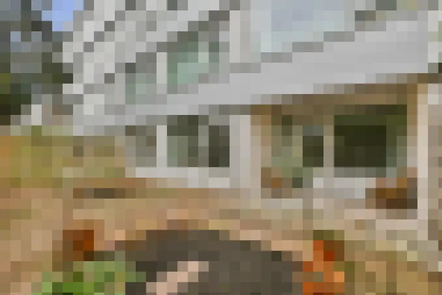 Peetersdreef 150 Utrecht thumbnail 11