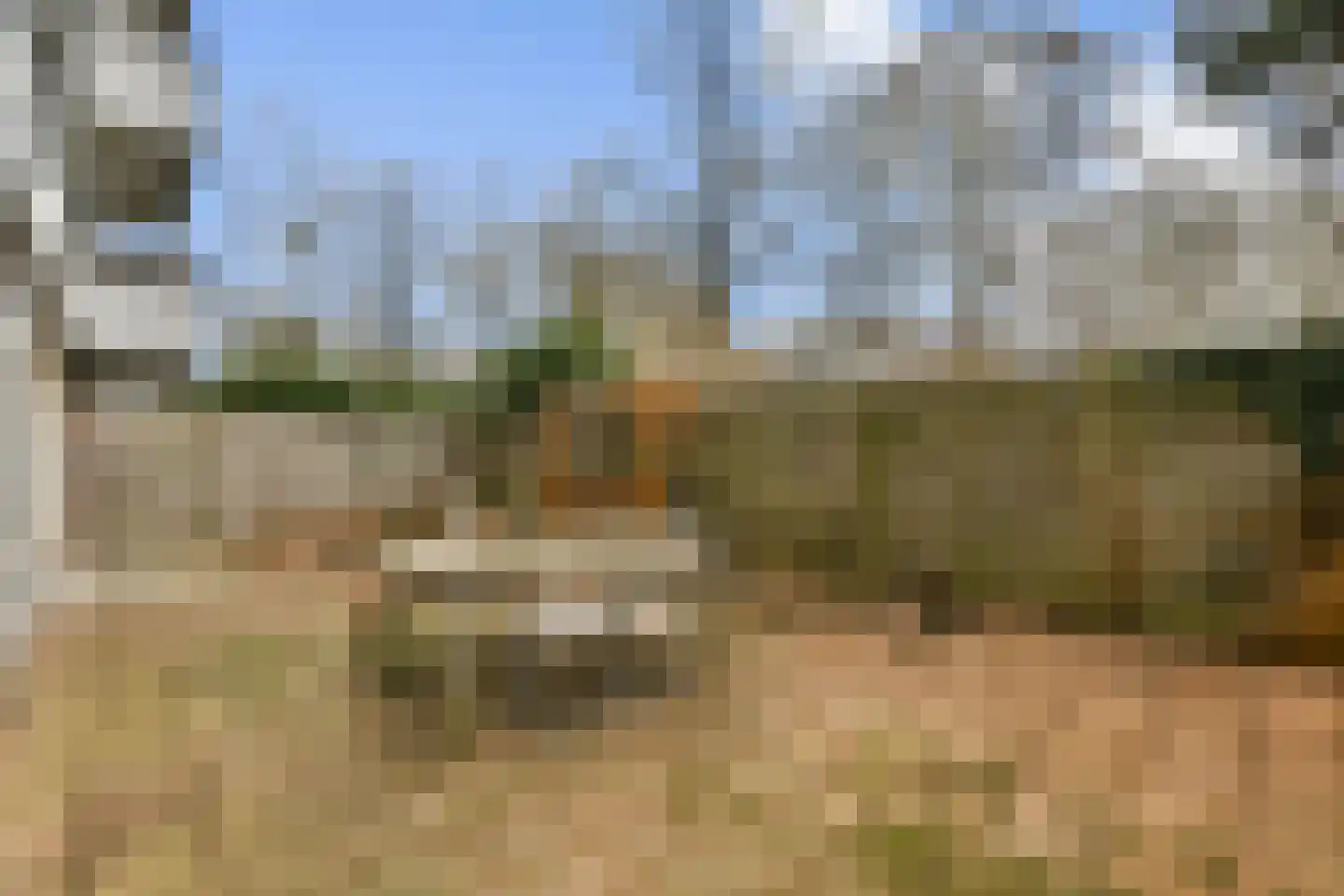 Peetersdreef 150 Utrecht thumbnail 12