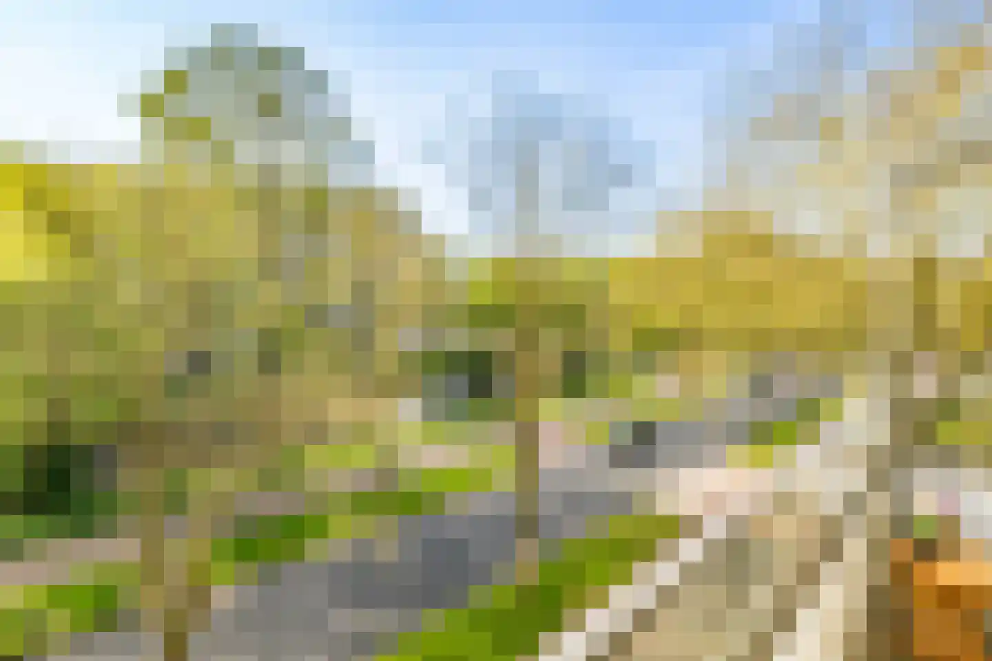 Peetersdreef 234 Utrecht thumbnail 17